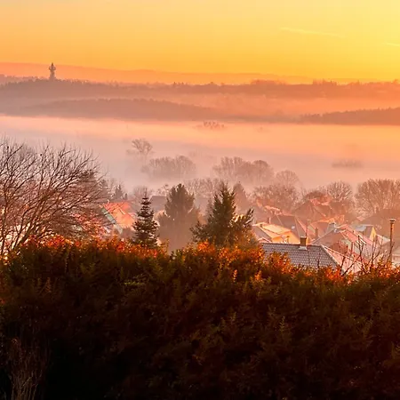 Fonix Wellness ** Apartman * Héviz